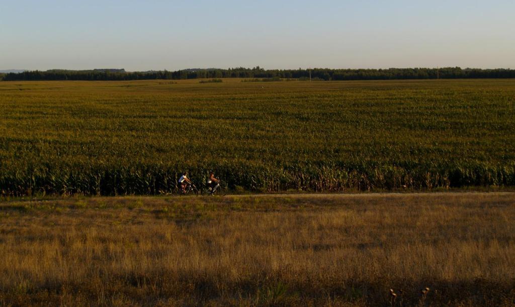 Herdade Do Sardanito Da Frente ザンブジェイラ・ド・マール エクステリア 写真