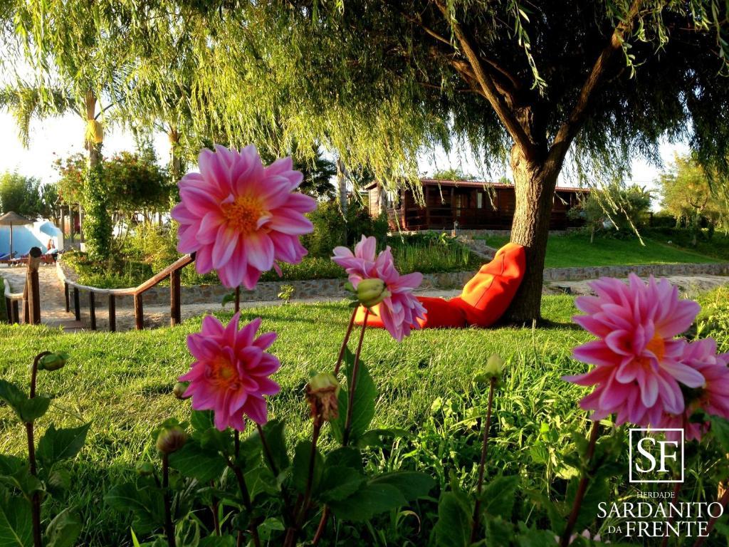 Herdade Do Sardanito Da Frente ザンブジェイラ・ド・マール 部屋 写真